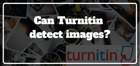 Does turnitin detect images