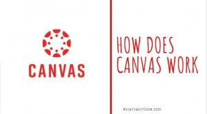 cheating canvas