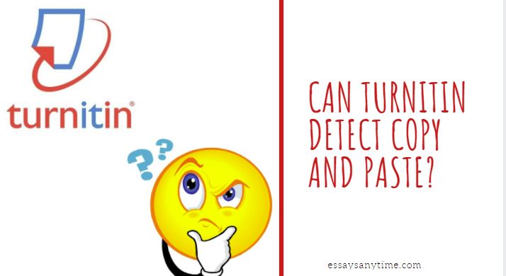 turnitin detect copy and paste