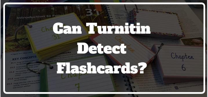 Does Turnitin Check Quizlet Can Turnitin Detect Flashcards Essays 