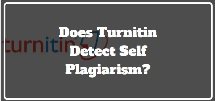 can turnitin detect self plagiarism