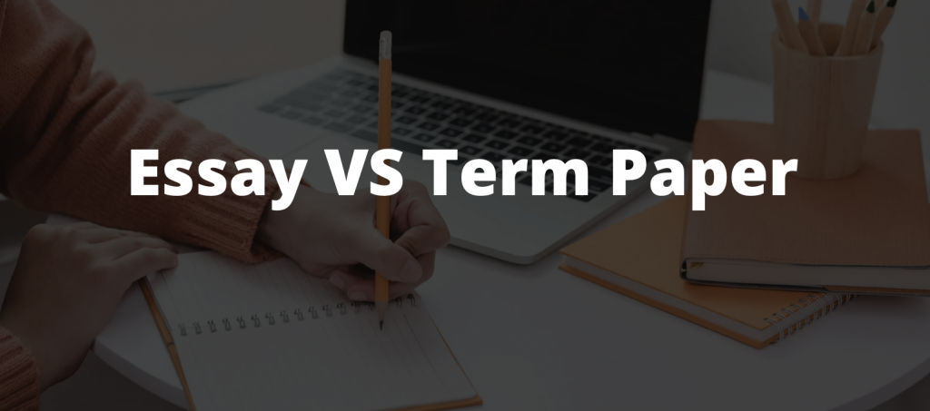 term paper vs thesis